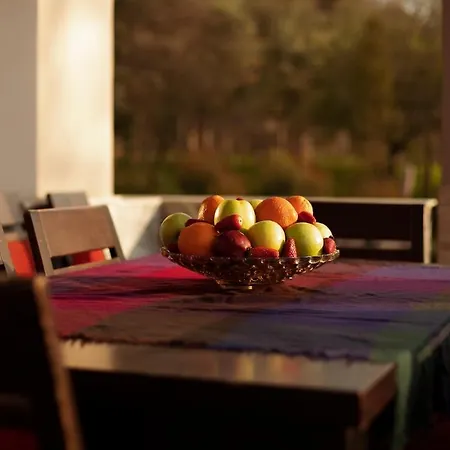 The Resident Villa *